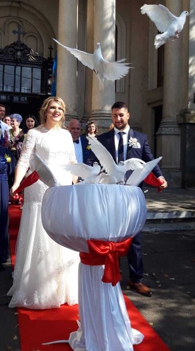 Porumbei albi nunta Braila Galati