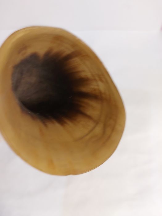 Рожок настоящий.