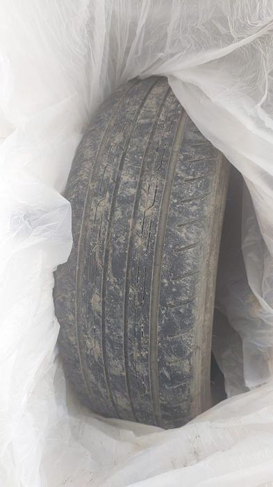 Продам летнюю резину Triangle