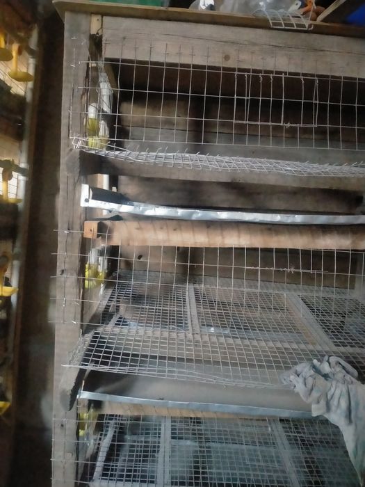 Клетка сатылады30мин 3етаж