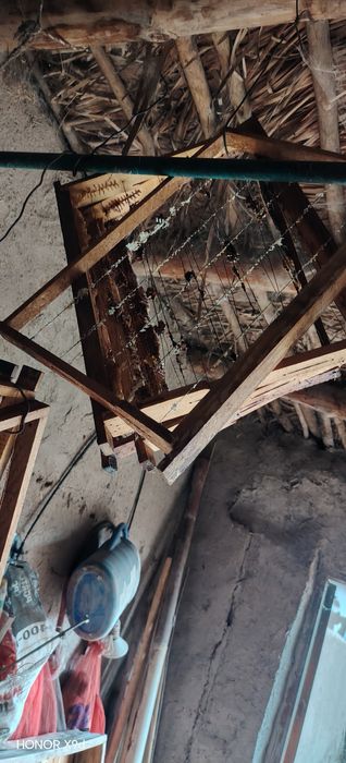 Asal ari uyasi sotiladi