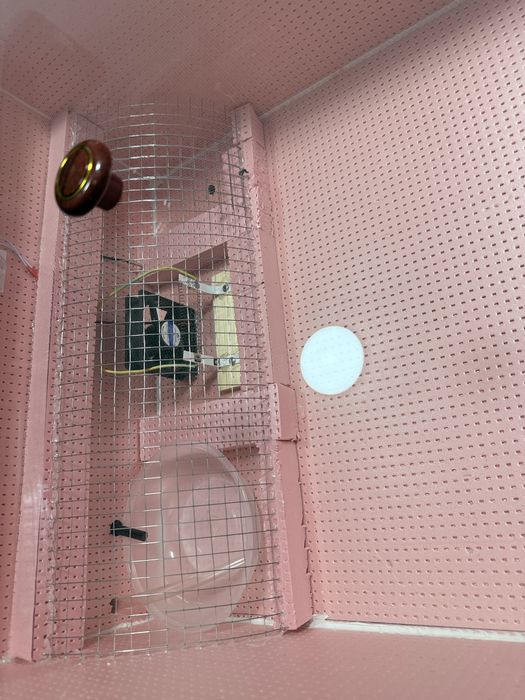 Продаётся роддом для цыплят. Янги очилган жужалар учун.