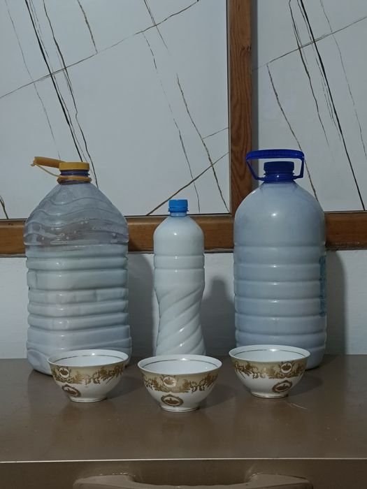 Саумал (кобылье молоко)