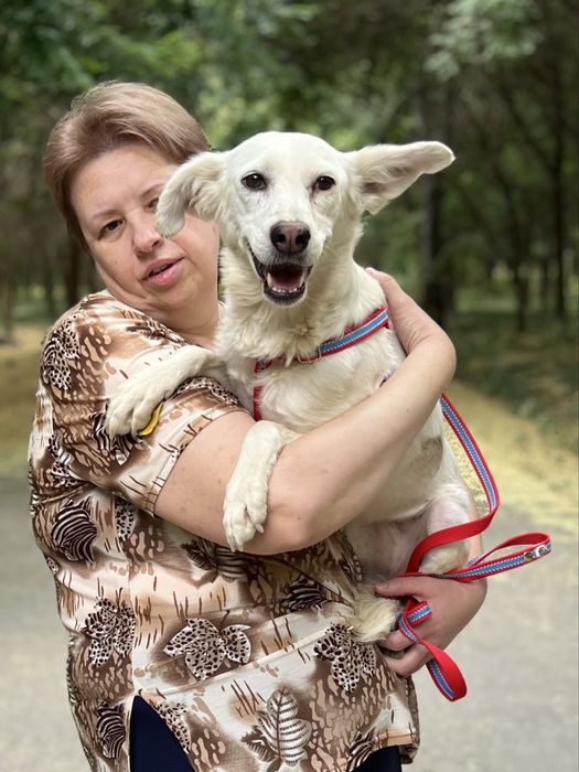 Ватка ищет дом и семью!