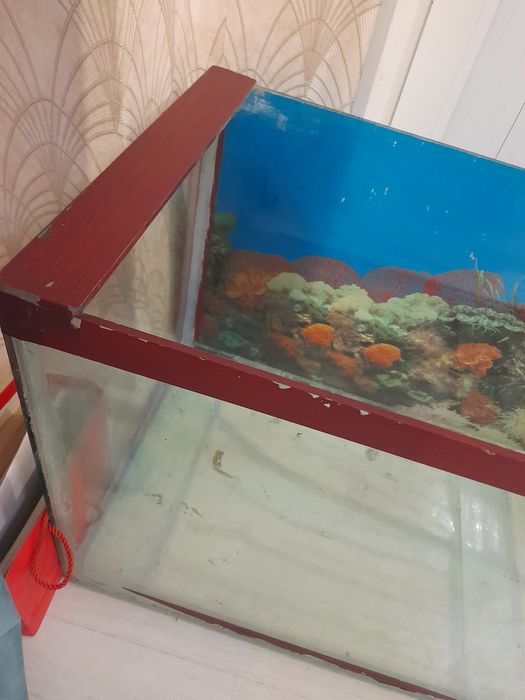 Бальшой аквариум 90×40×47 для черепах рыб сомов
