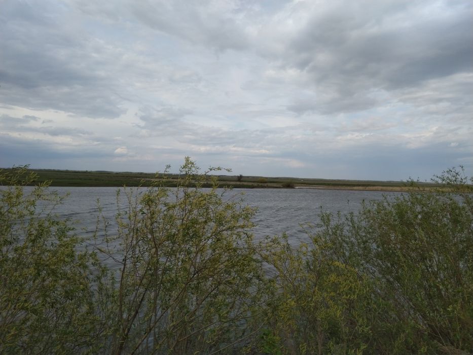 село Родина, Акмолинская область.