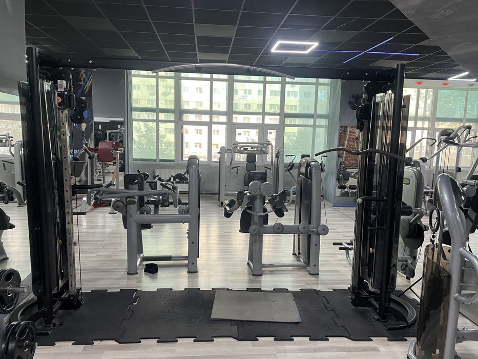 Cross Cable Matrix Aparate fitness Technogym Hoist