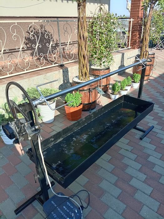 Rotisor proțap electric