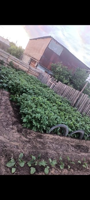 Продам дом Аманкарагай