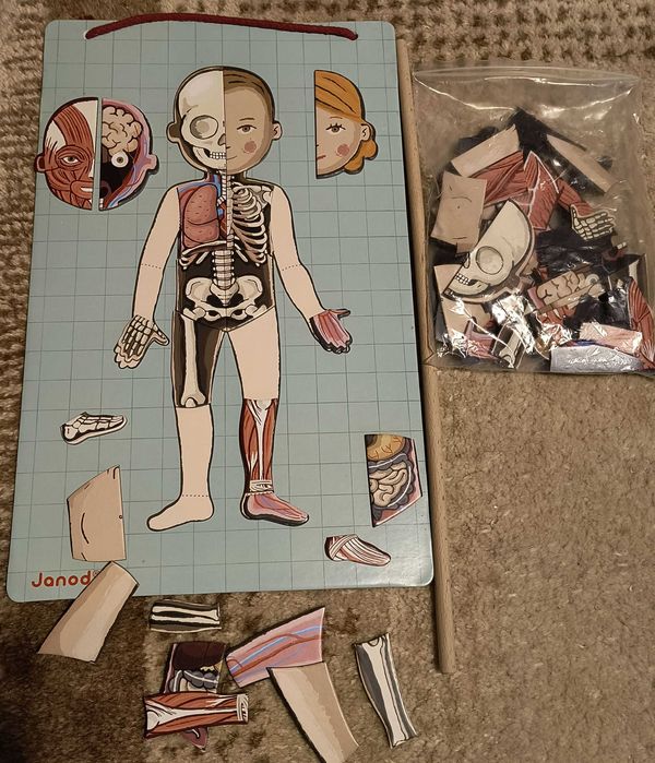 Set jocuri educative: Corpul uman, fractii, magneti