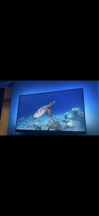 телевизор philips