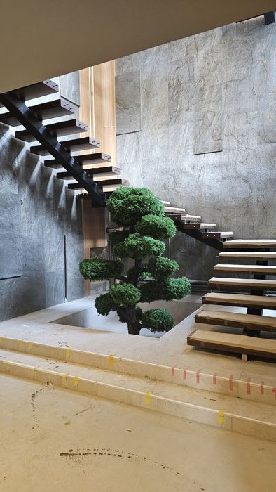 Бансай япон дарахти йасаб берамиз