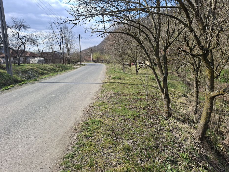 Proprietate Sat Stancesti comuna Dobra