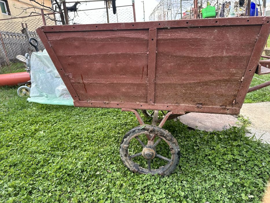 Carut din fier pentru curte