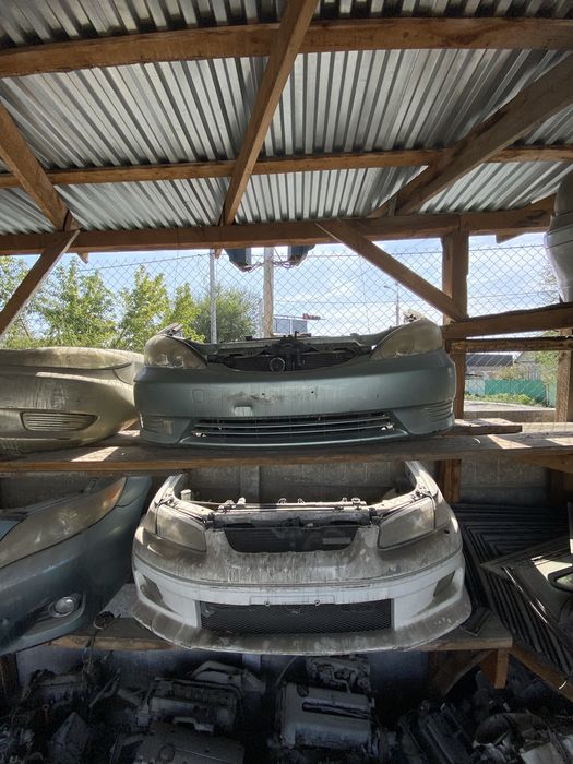 Ноускаты(мини-морды) Камри 30-35