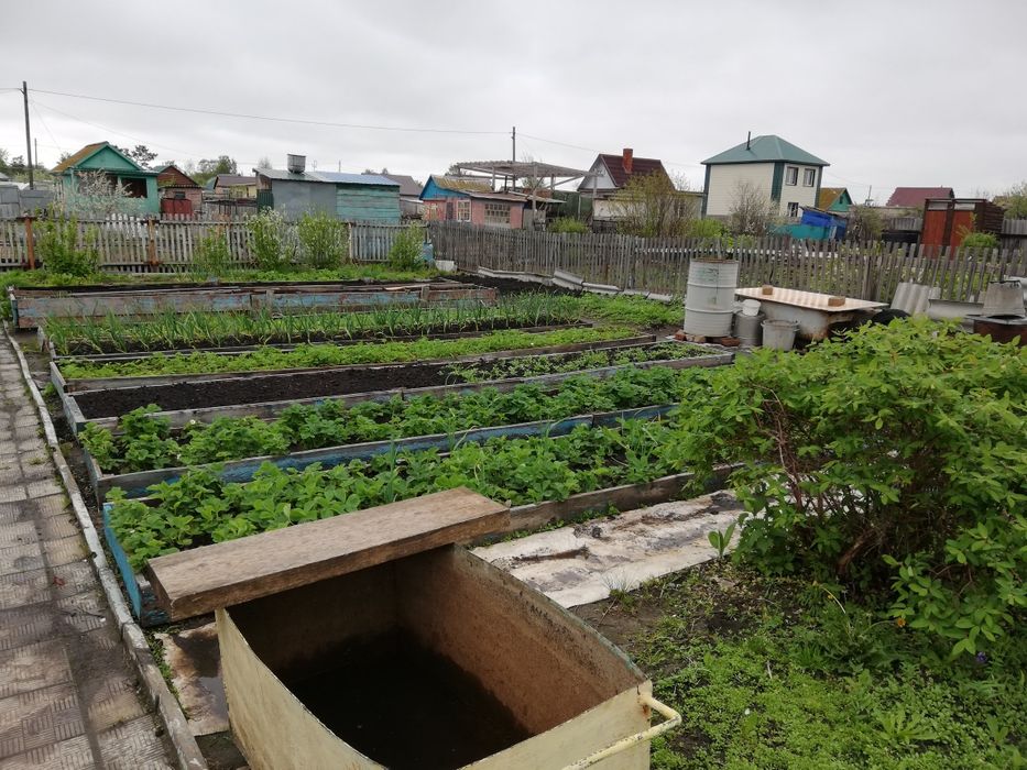 Продам дачу пк ст борки ТОРГ!