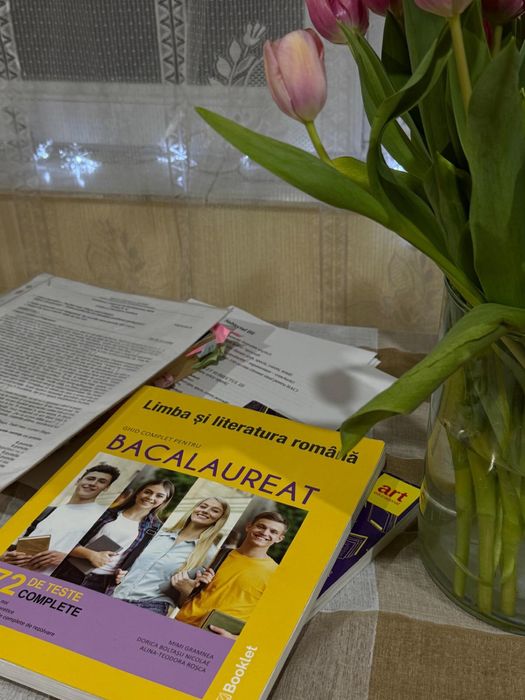 Meditatii BAC - Limba Romana