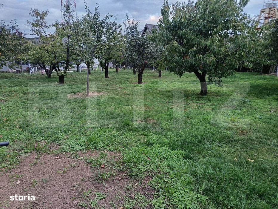 Teren Intravilan Centru Paulesti, parcelabil ,potential enorm pentru I