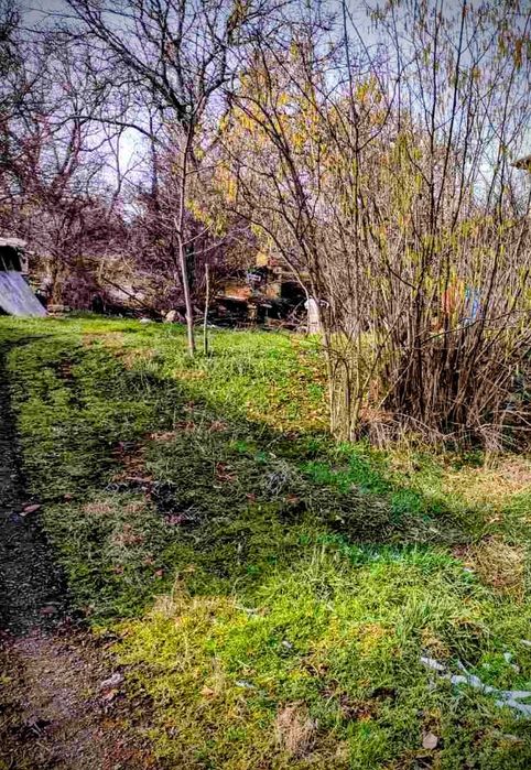 Парцел-с.Елешница-обл.София