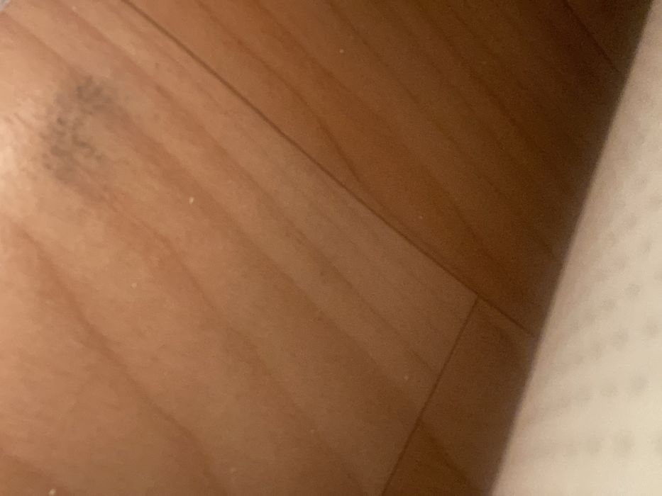 Продам палас 3,00*4,40 м