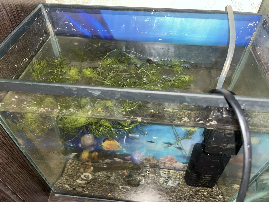 Аквариум продается  23литра