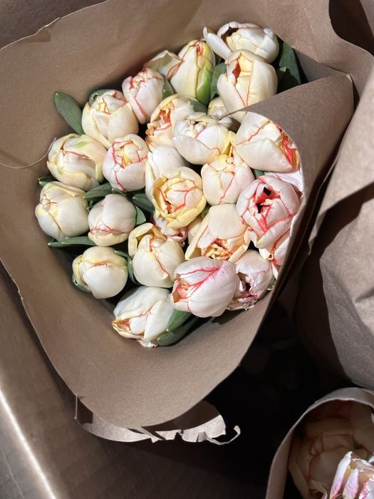 Тюльпаны оптом и в розницу