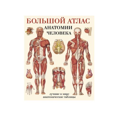 Книги бестселлеры