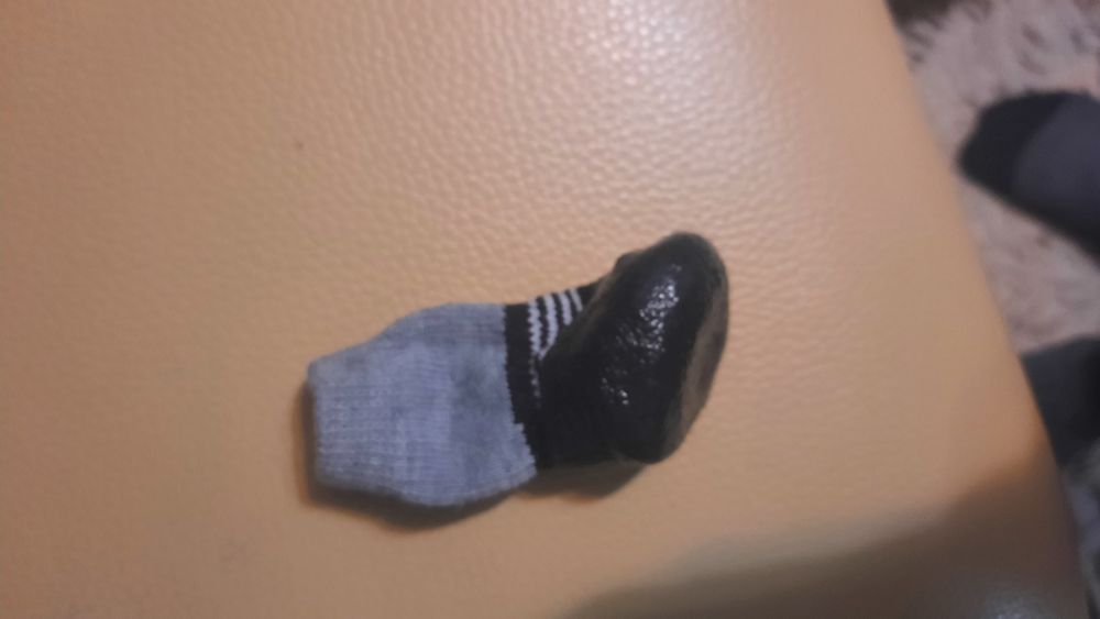 Носочки для собак