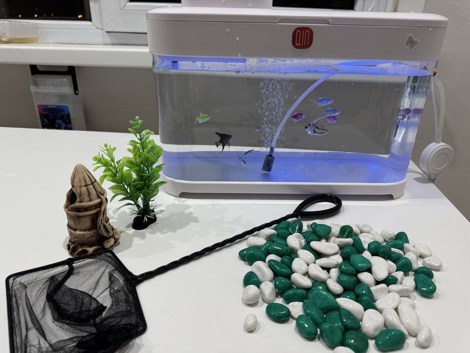 Аквариум на 10л с рыбками