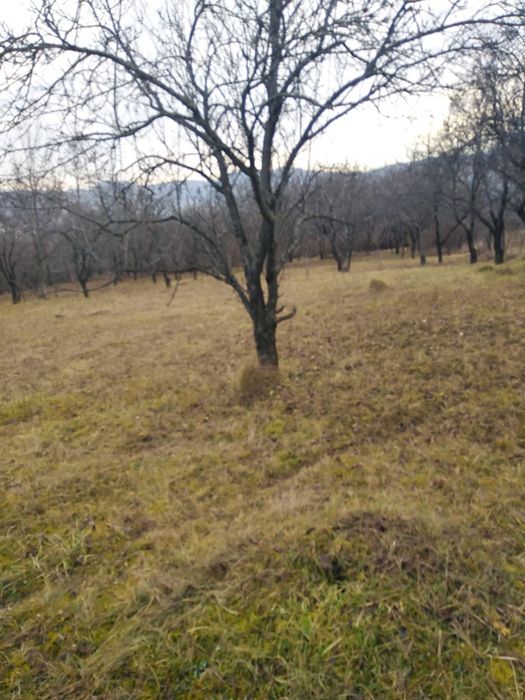 Teren de vanzare in comuna Poienari de Muscel