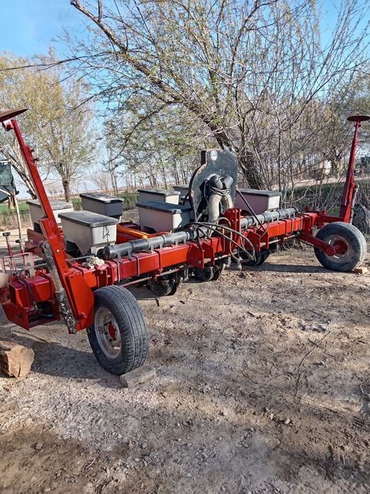 Taktoga pulg Chizil selkasi ham bor