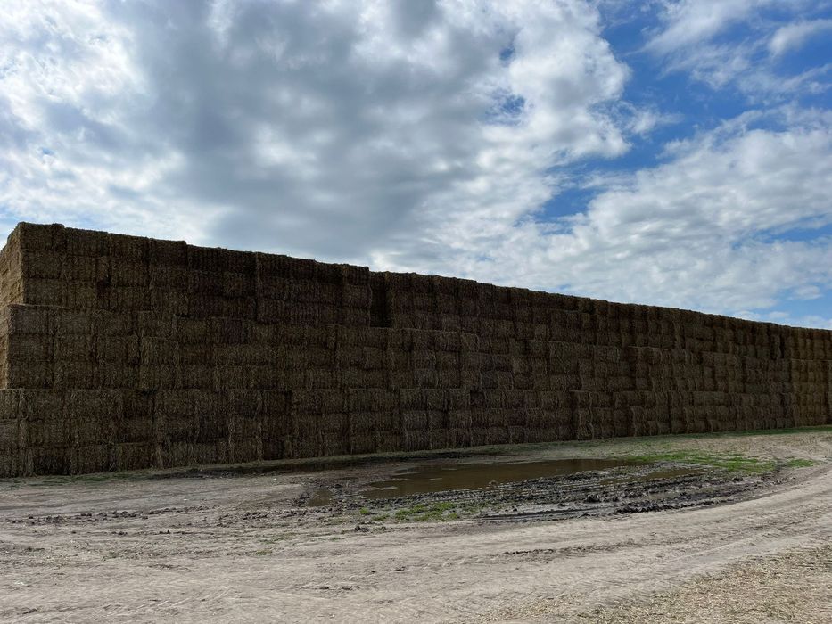 Baloți pătrați de paie