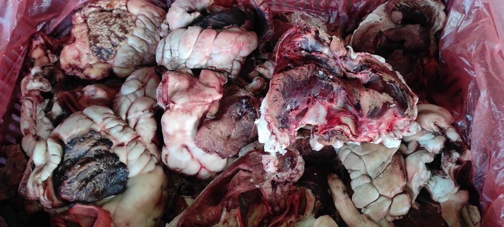 Телешко месо за кучета