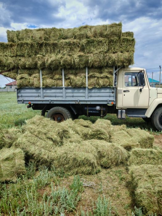 Шоп сатылады сено тюки