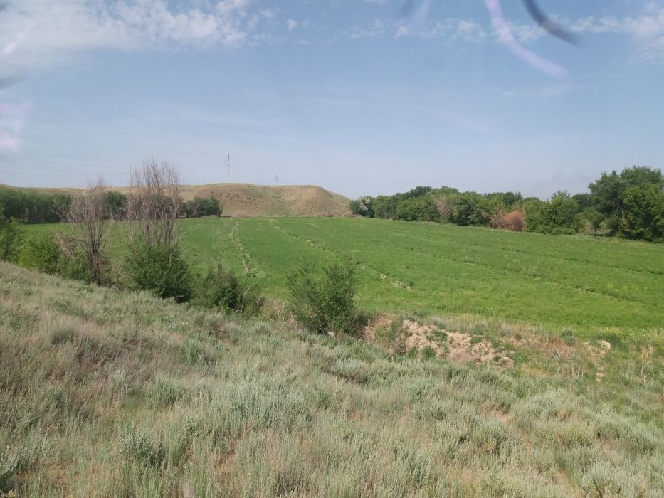 Продам крестьянское хозяйство