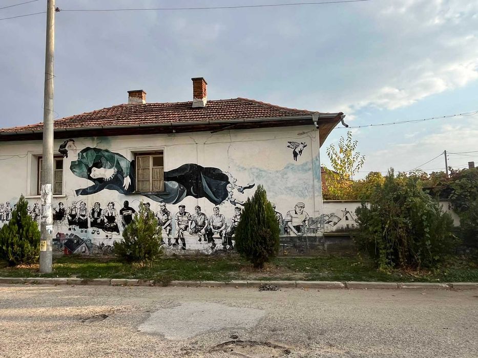 Продава се: Къща РЗП 140 кв.м, двор 675 кв.м, с.Старо Железаре