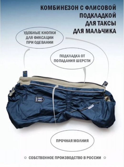 Комбинезон для таксы мальчика
