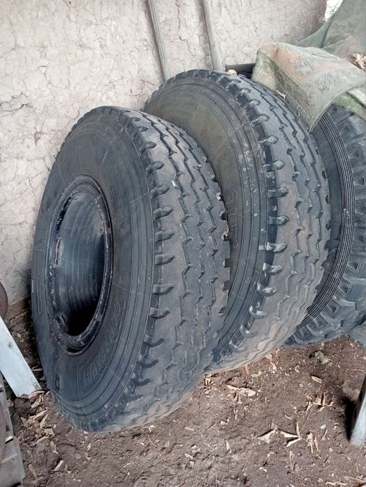 Продам болоны змейка