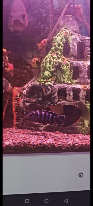 Валик сотилади жами 11 та