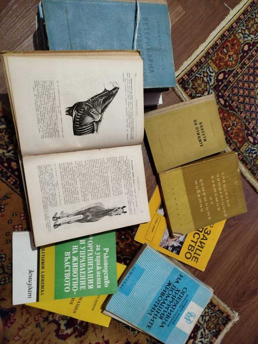 Ветеринарна медицина