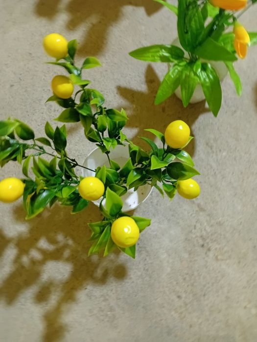 Tuvakdagi Suniy Gullar