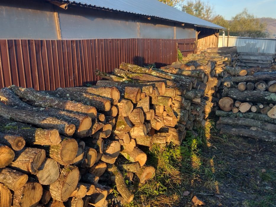Lemne de foc csrpen acati