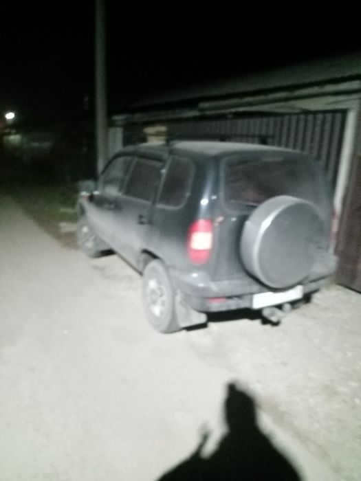 Шнива живая ездиет