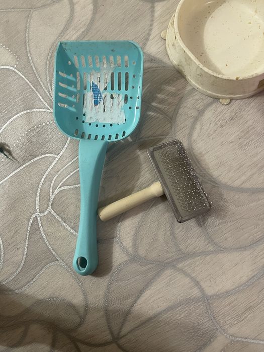 Комплект для кошки/котёнка
