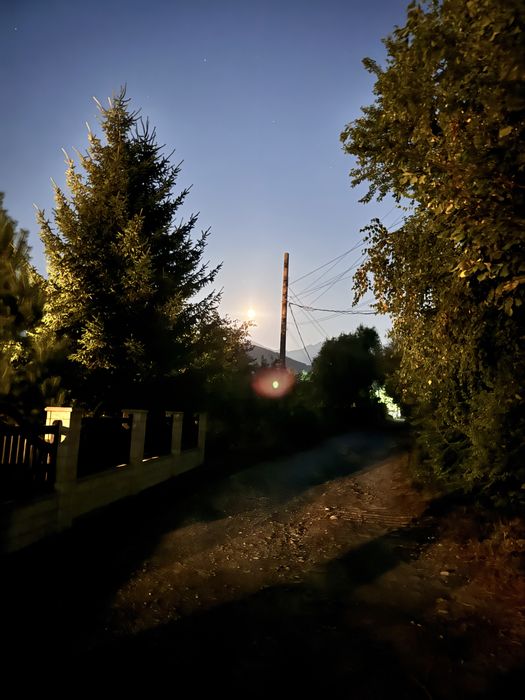 Pantofi piele Toghoshi