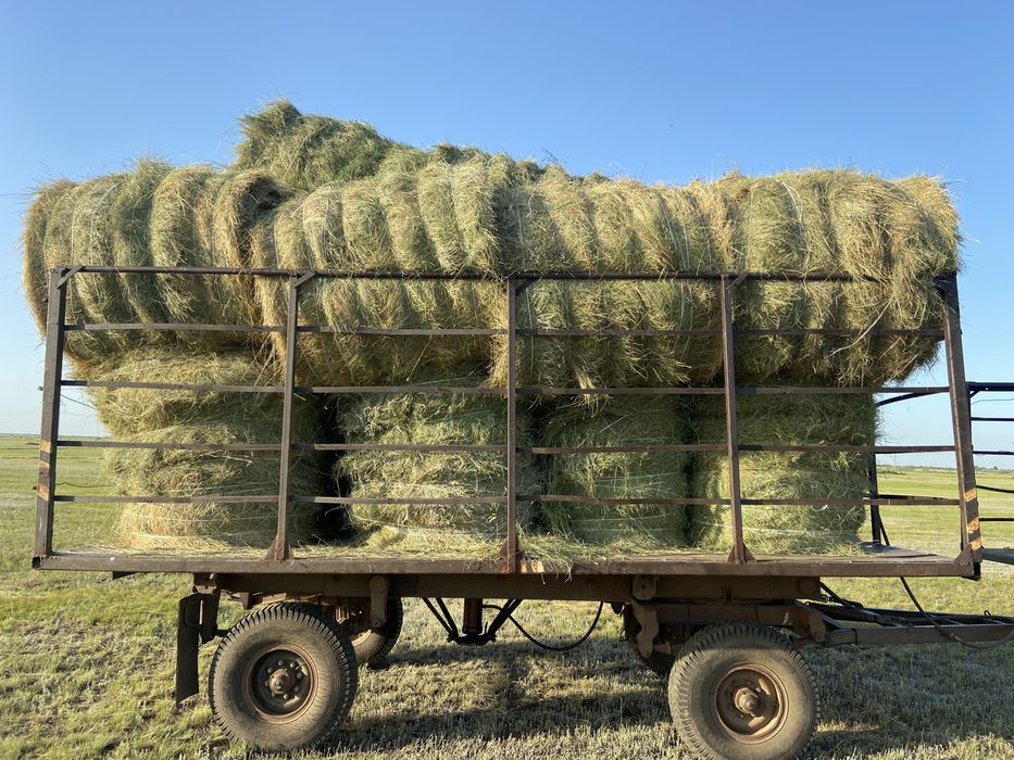 Продам сено в рулонах