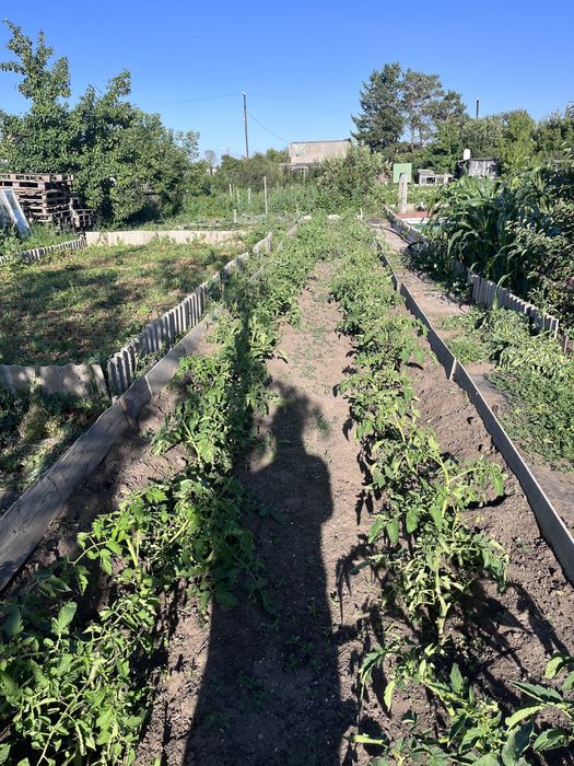 Продам дачу ДО РОМАШКА