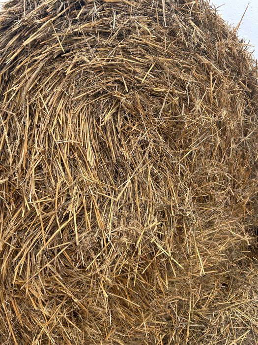 Vand baloti de paie 120x120x