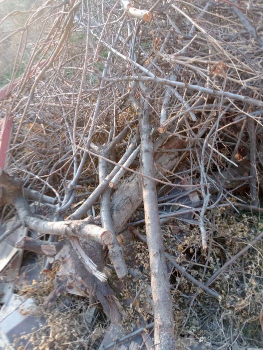 Õtin sotiladi 1moshin