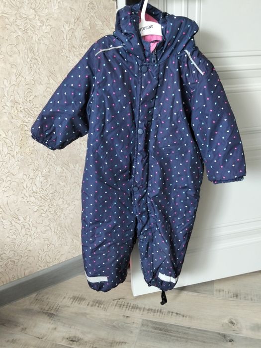 Камбензон весенний